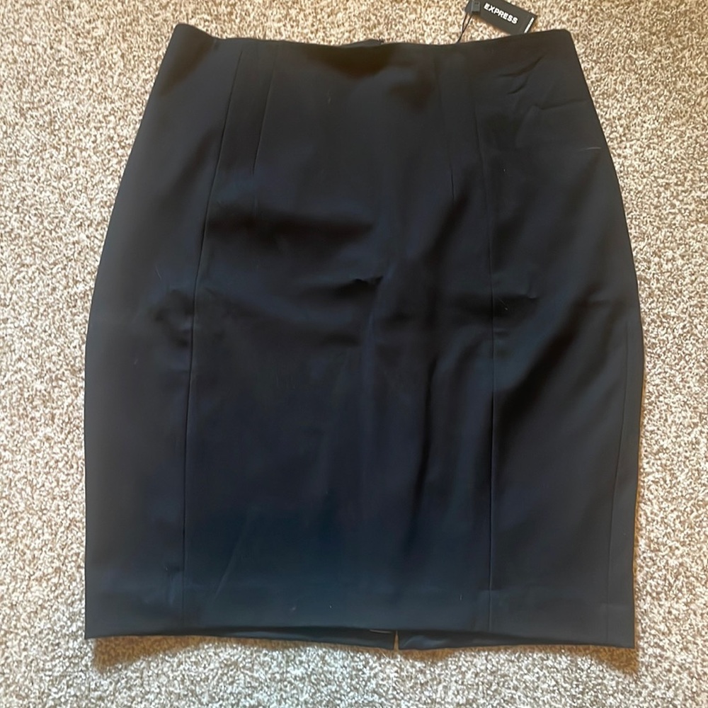 Express Pencil Skirt